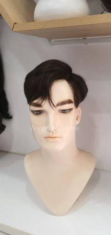 Mái phủ đỉnh nam 1847