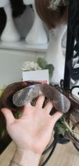 Miếng che hói dán chữ M