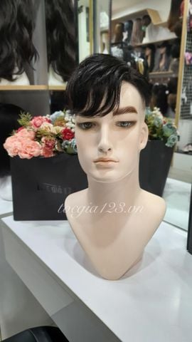 Mái phủ đỉnh nam 1890