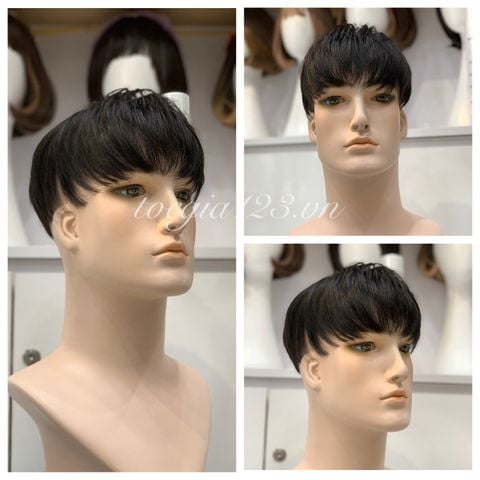 Mái phủ đỉnh nam 1040