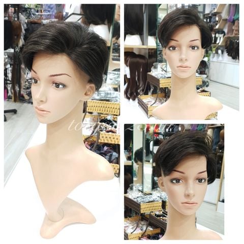 Mái phủ đỉnh nam 1042