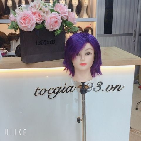 Tóc hoá trang 2454