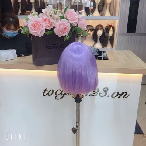 Tóc hoá trang 3452