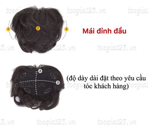 Mái phủ đỉnh đầu 2285