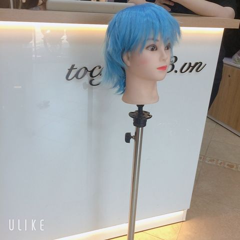 Tóc hoá trang 2462