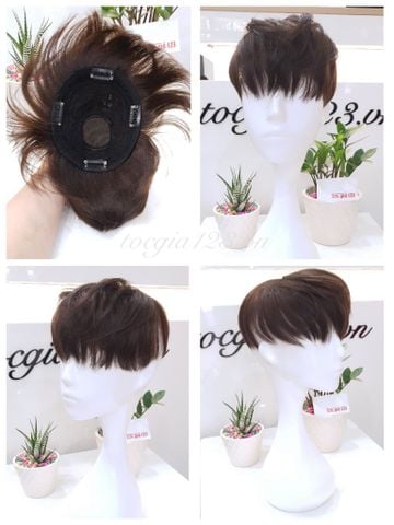 Mái phủ đỉnh nam 1011