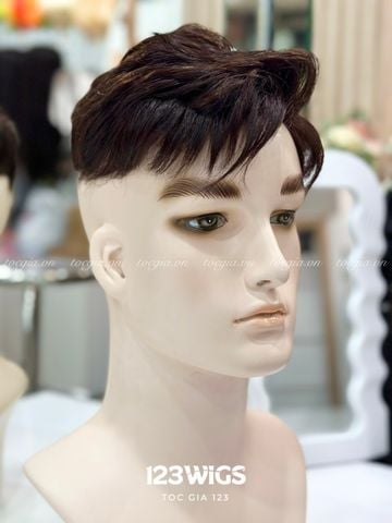 Mái phủ đỉnh nam 1952