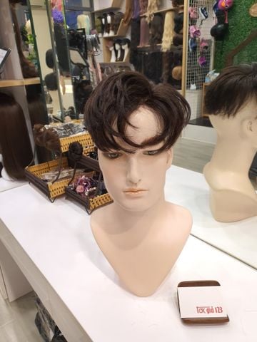 Mái phủ đỉnh nam 1560