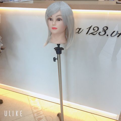 Tóc hoá trang 3456