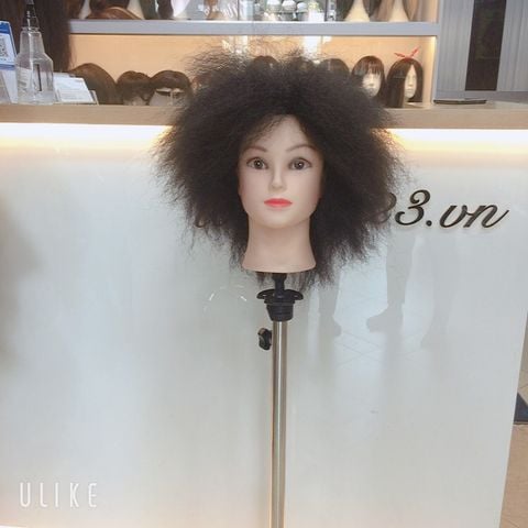 Tóc hoá trang 2463