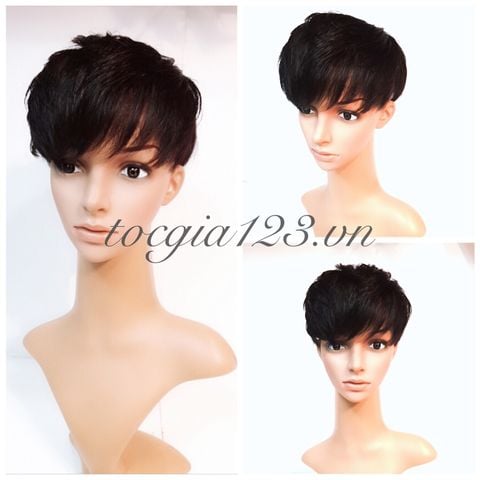 Mái phủ đỉnh nam 1338