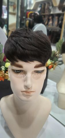 Mái phủ đỉnh nam 1849