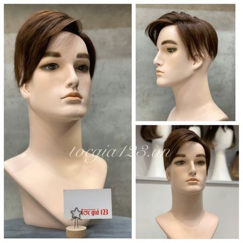 Mái phủ đỉnh nam 1038