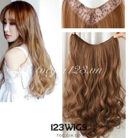 Phím kẹp chữ V xoăn SV1002