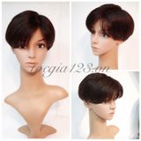 Mái phủ đỉnh nam 1337