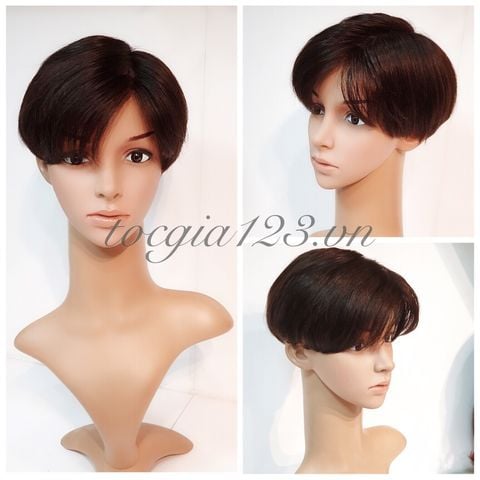 Mái phủ đỉnh nam 1337