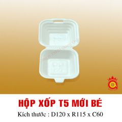QQ-0012 - Hộp xốp T5 mới bé
