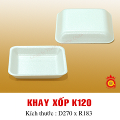 QQ-0016 - Khay xốp K120