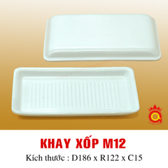 QQ-0017 - Khay xốp M12