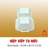 QQ-0022 - Hộp xốp T5 mới