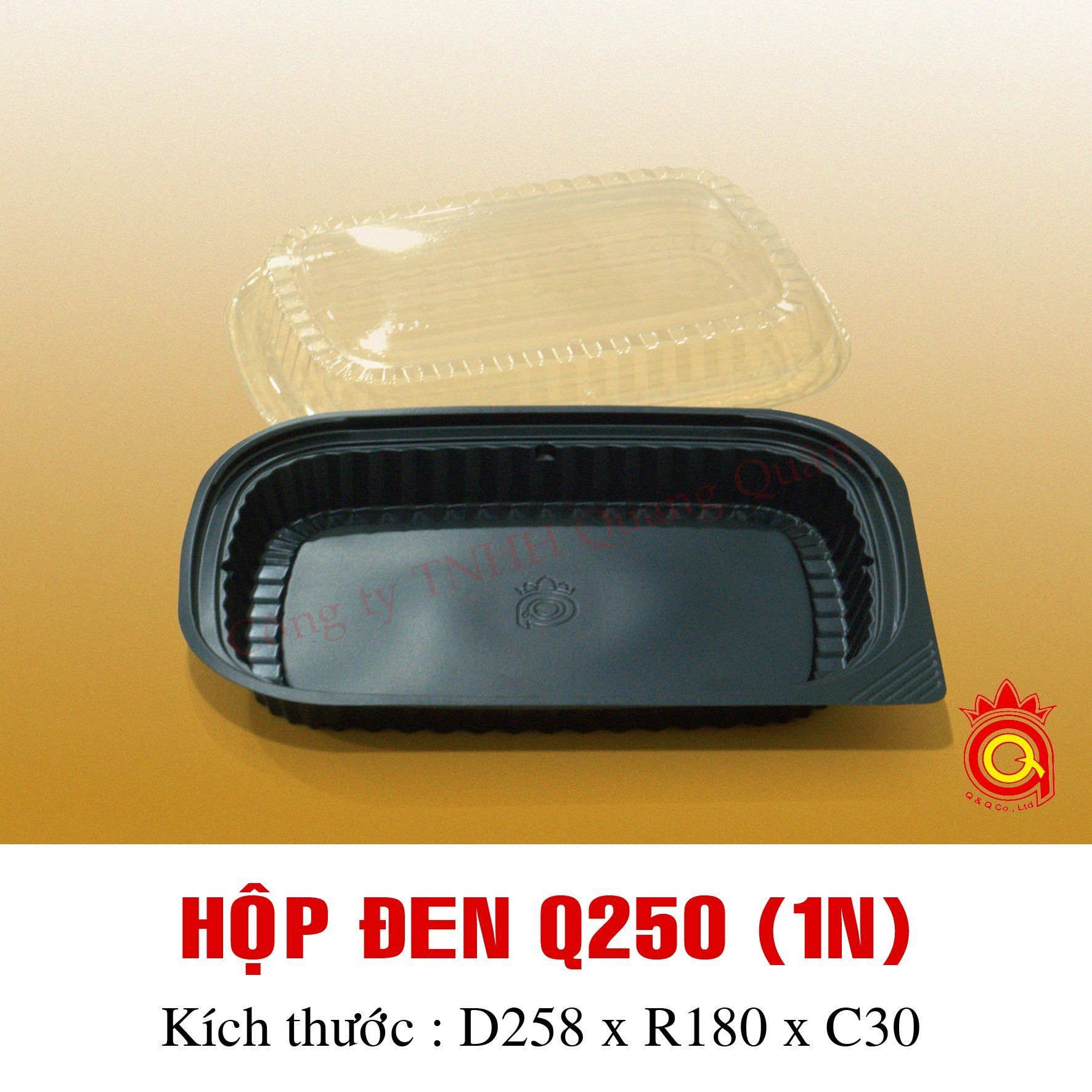 QQ-0028 - Hộp đen Q250 (1N)