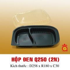 QQ-0029 - Hộp đen Q250 (2N)
