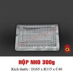 QQ-0033 - Hộp nho 300g