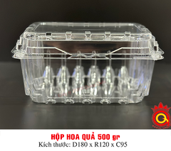 QQ-0089 - Hộp hoa quả 500 gram