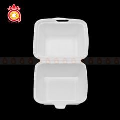 QQ-0029 - Hộp xốp T5