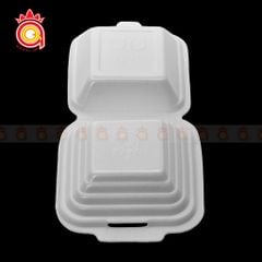QQ-0030 - Hộp xốp T5 - gân