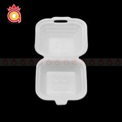 QQ-0031 - Hộp xốp T5 - gân nhỏ
