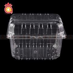 QQ-0094 - Hộp hoa quả 1000B