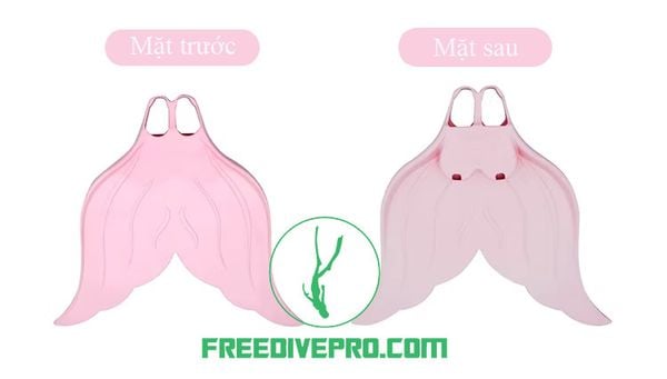 Chân nhái mono fins tiên cá