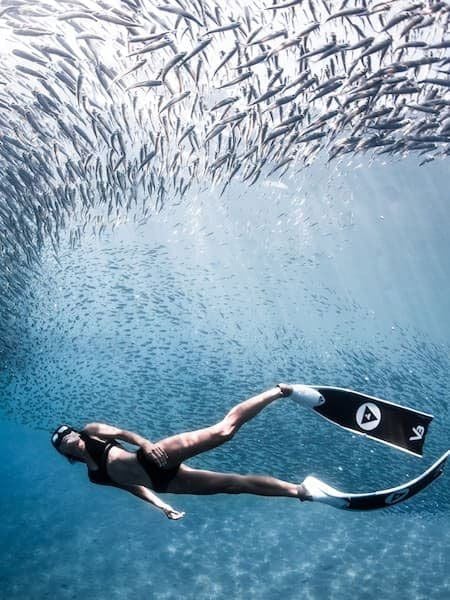 Chân nhái lặn freedive Alcheme V3-30-Plus Fins
