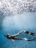 Chân Nhái Lặn Freedive Carbon Alchemy V3-30-Plus Fins - CNV3-Plus Trắng