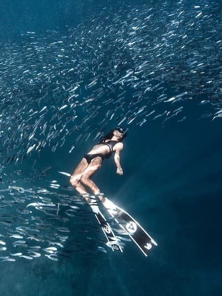 Chân nhái lặn freedive Alcheme V3-30-Plus Fins