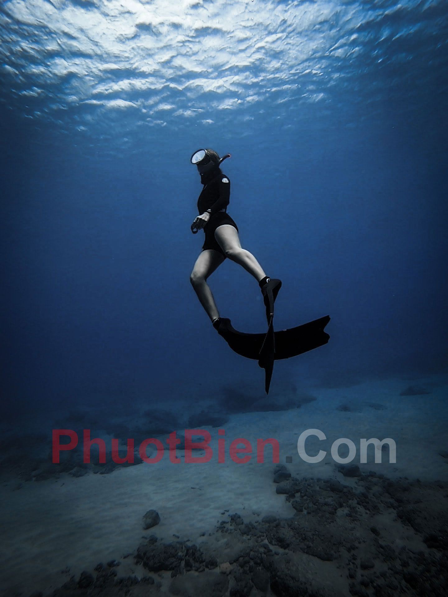 Chân Nhái Lặn Tự Do Freediving Fins Chuyên Nghiệp Size 3546 Bán Buôn