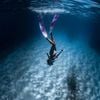 Chân Nhái Freediving Leaderfins Vây Cá MERMAID SEMI-TRANSPARENT