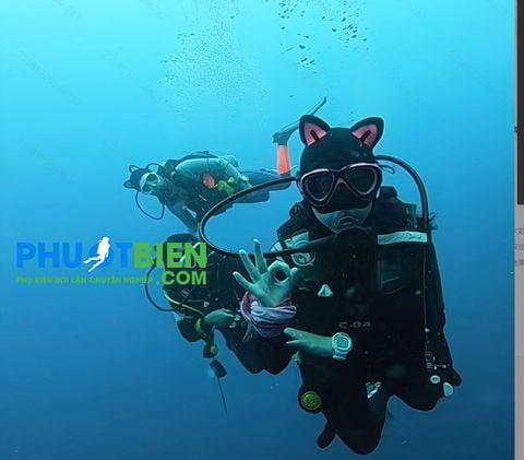  Mũ Nón Lặn Hóa Trang - Funry Diving Cap - MLHT112 