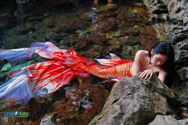 Bộ quần áo váy bơi nàng tiên cá cho người lớn mermaid tails for adults