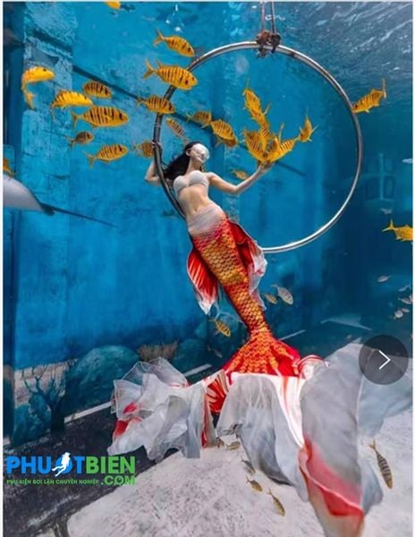 Bộ quần áo váy bơi nàng tiên cá cho người lớn mermaid tails for adults