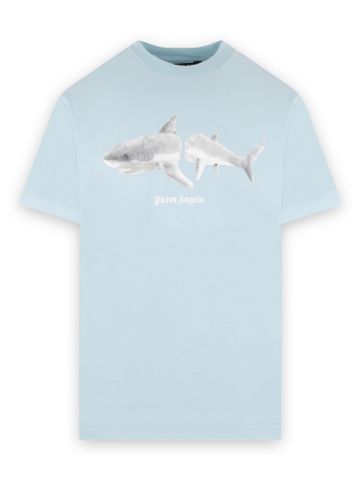 Phông Palm Shark - Blue Mint