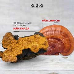 Kem Nấm, Dưỡng Da Cấp Ẩm Sâu Phục Hồi & Tái Sinh Da GGG Super Revitalize Mushroom Cream 50g