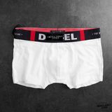  Boxer D!esel 