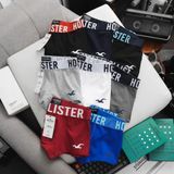  Boxer H0llister 