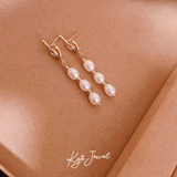  Khuyên tai nữ Knot Pearl 