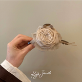  Kẹp tóc nữ Grand Rose 