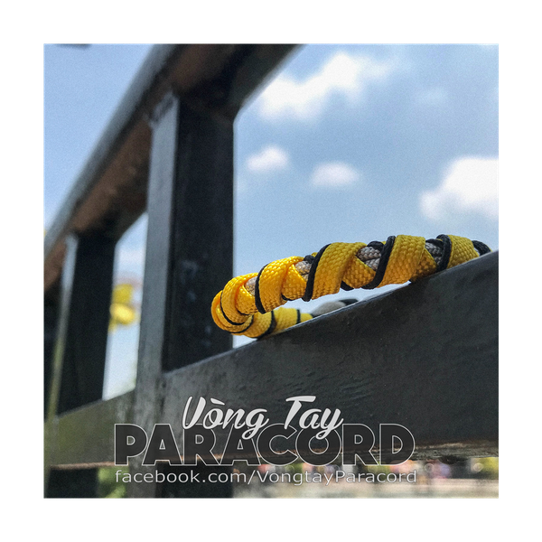 VTP Signature Pantone 2021 (phiên bản kỷ niệm)