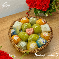  HƯƠNG XUÂN 3 