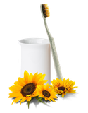 Bizs+ Sunflower Toothbrush